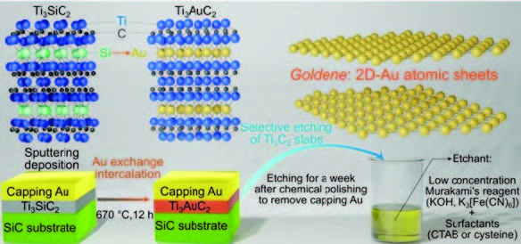 Schematic illustration of preparation of Goldene. Photo Source: Hultman et.al., Nat. Synth 2024: https://doi.org/10.1038/s44160-024-00518-4