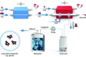 Schematic diagram of in vitro carbon dioxide synthesis of high energy long chain food molecules. Photo Source: Shenzhen Institute of Advanced Technology/Xia et al., Nat Catal 2022, 5, 388–396